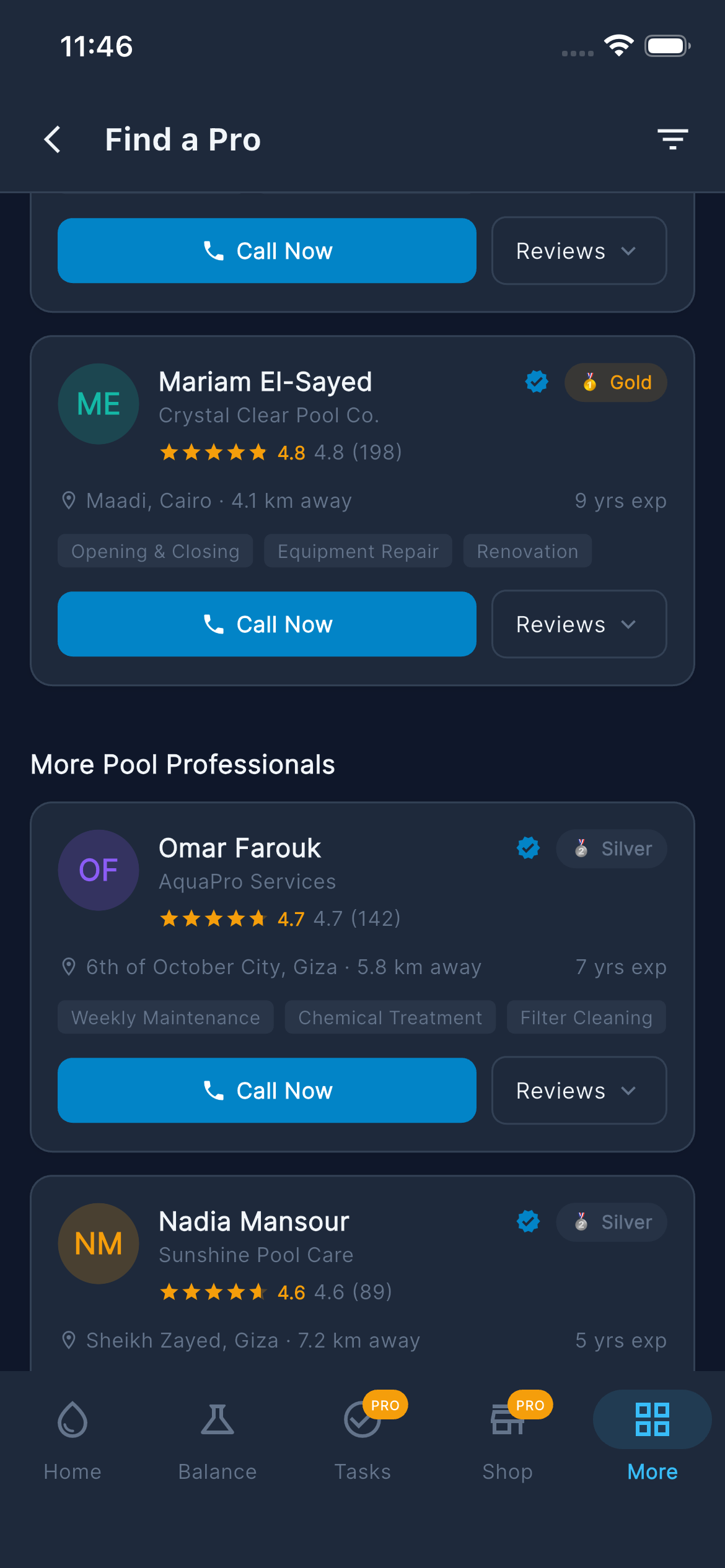 Hire a Pro — More Pros