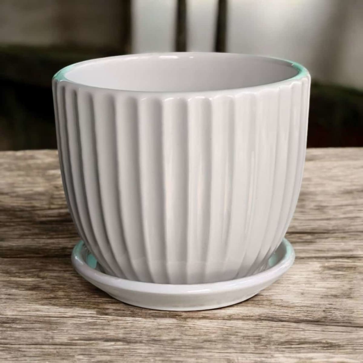 Vanam Astra Flute Ceramic Planter