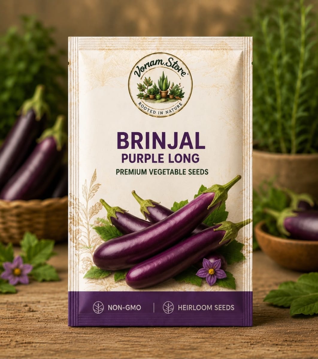 Brinjal Long