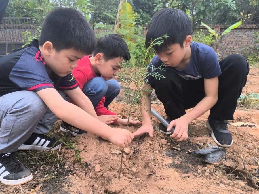 Hoạt động của Cộng Đồng Xanh