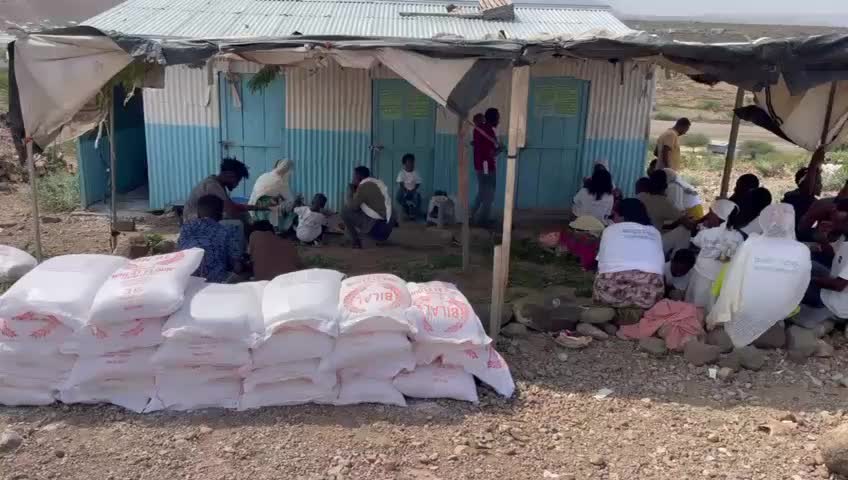 Insight Tigray video 7