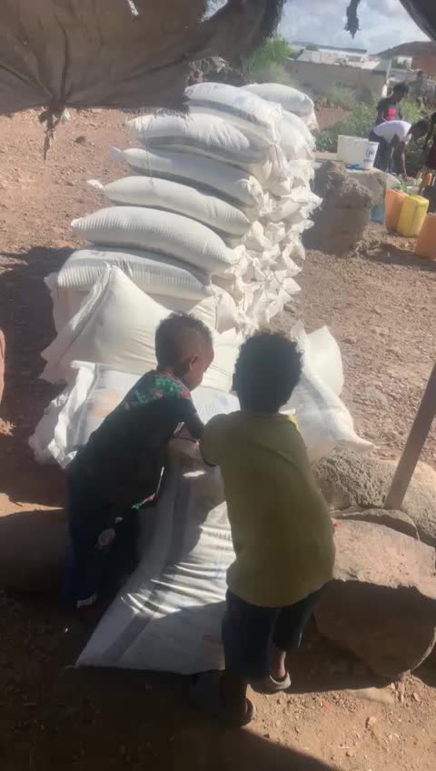 Insight Tigray video 11