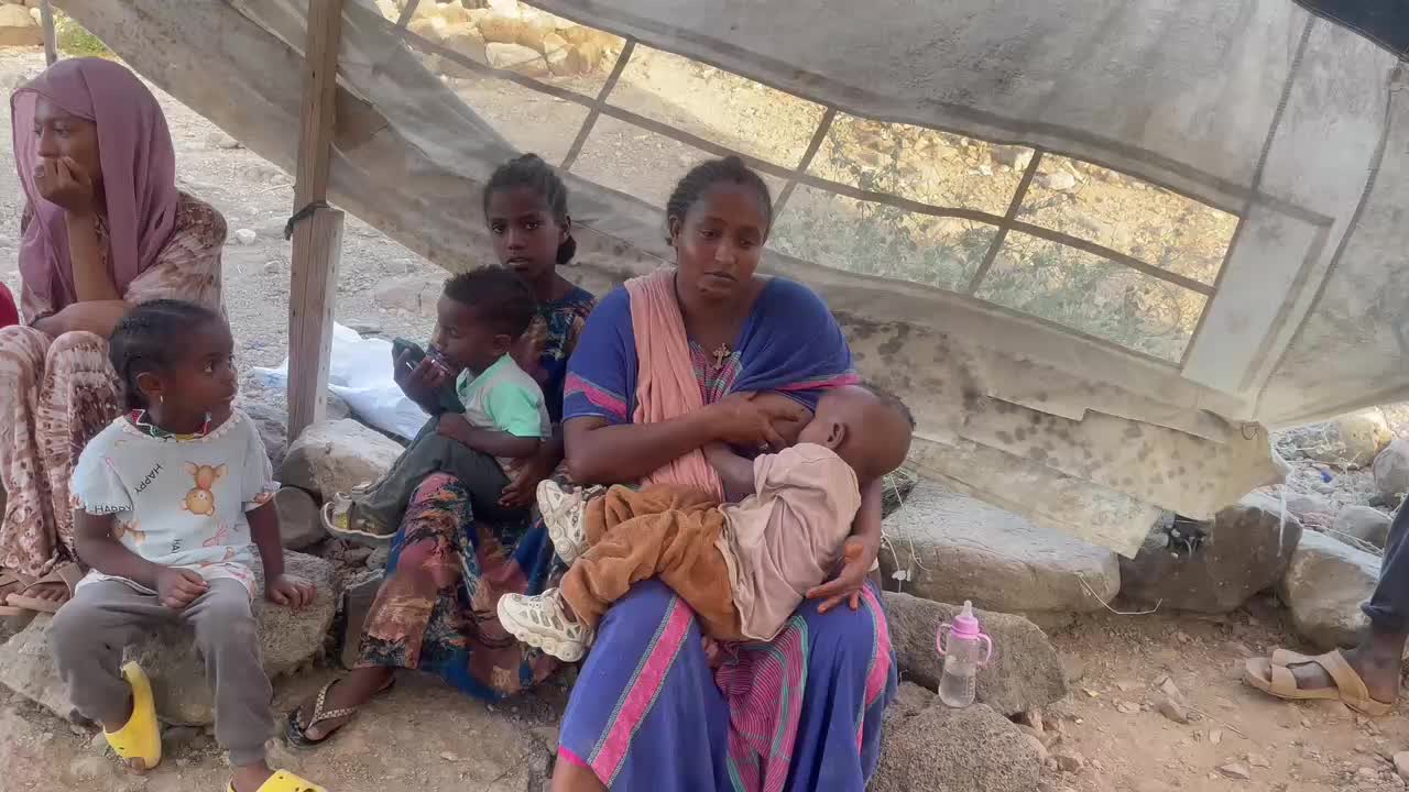 Insight Tigray video 13