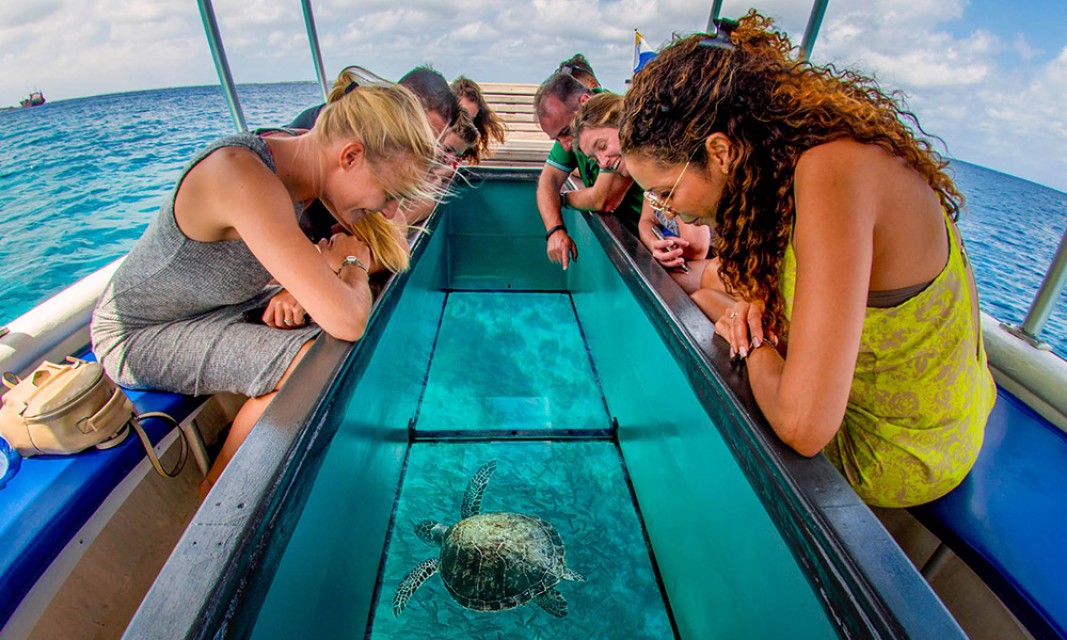 Glass bottom boat ride