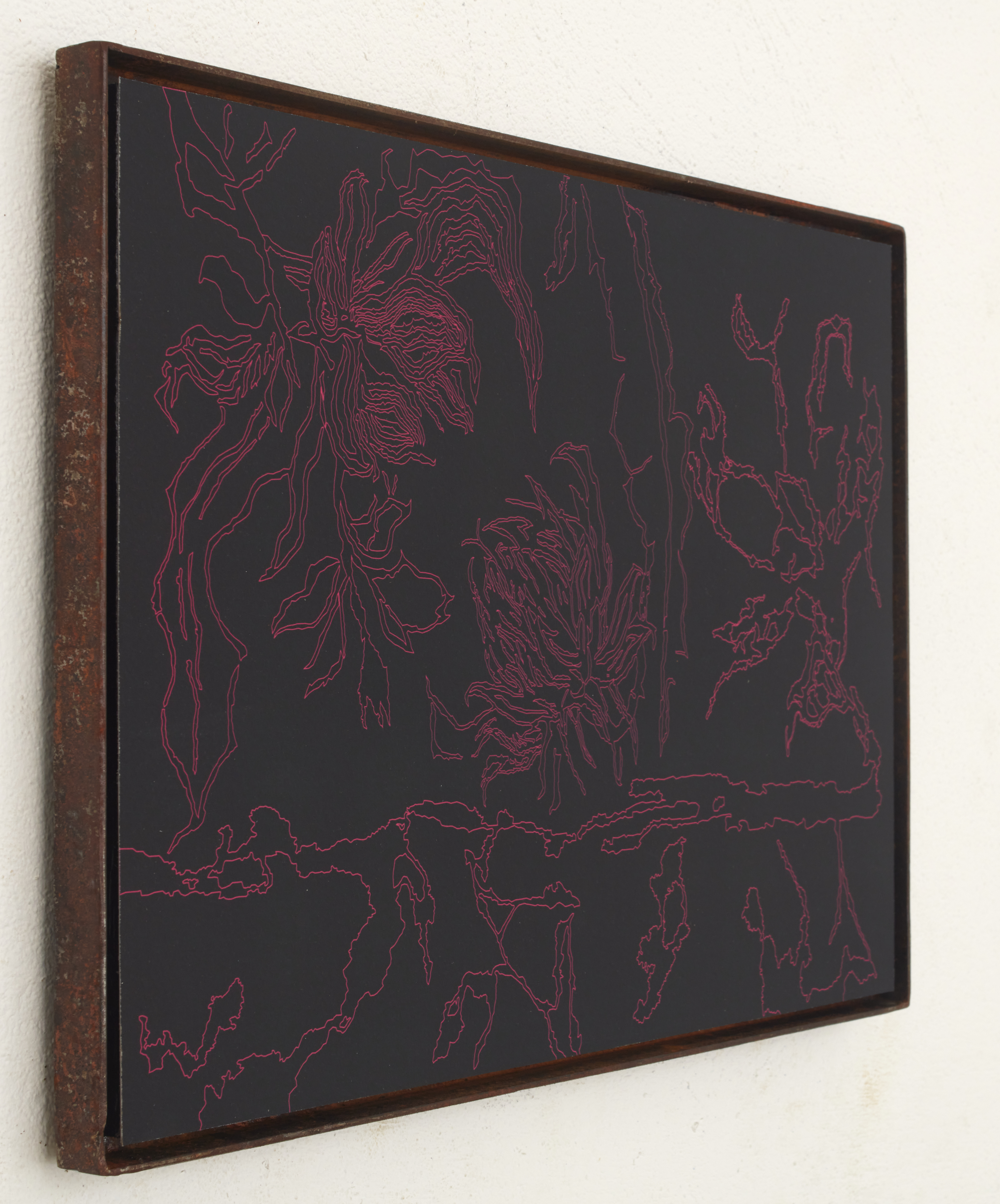 Una jungla por descubrir V