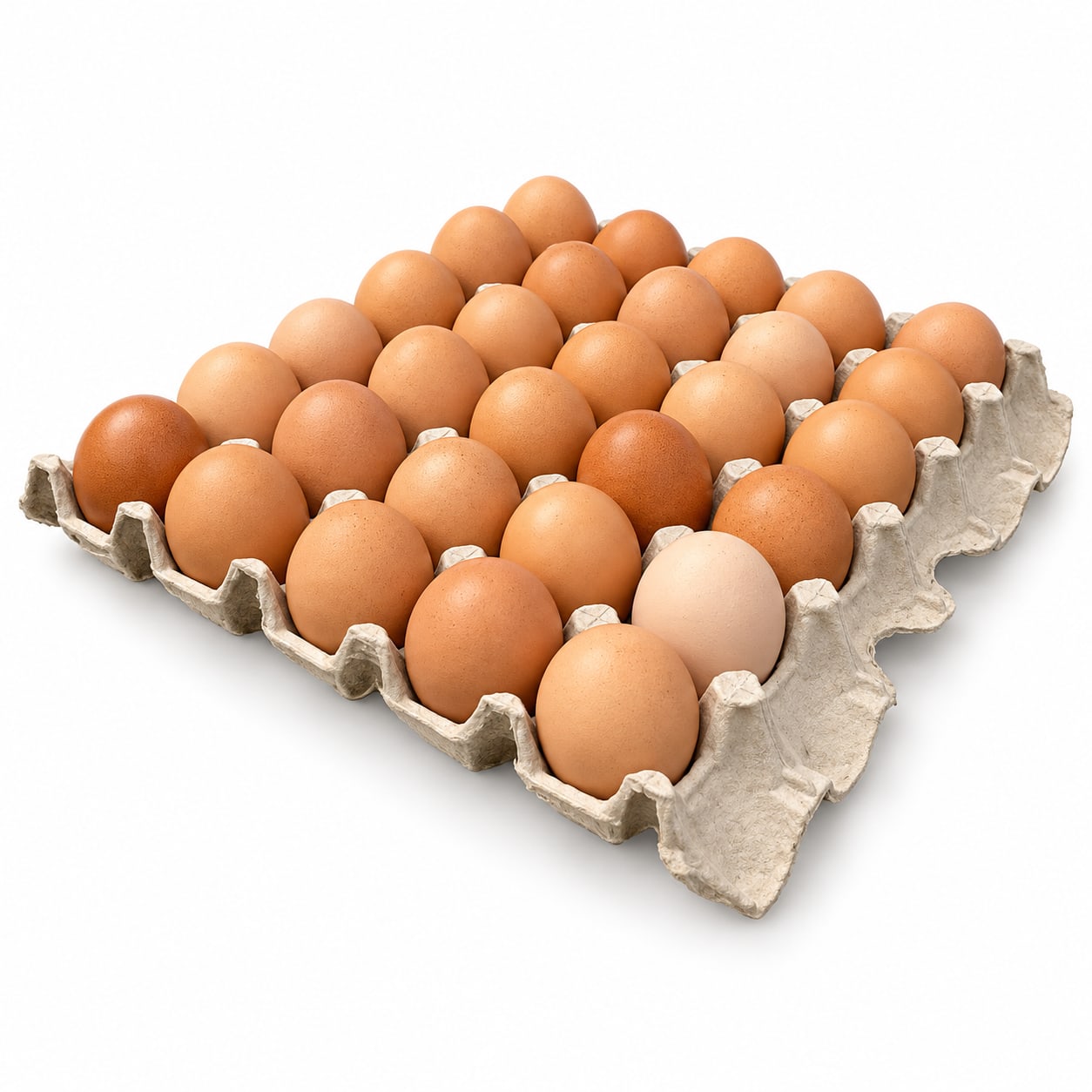 Huevos Primera