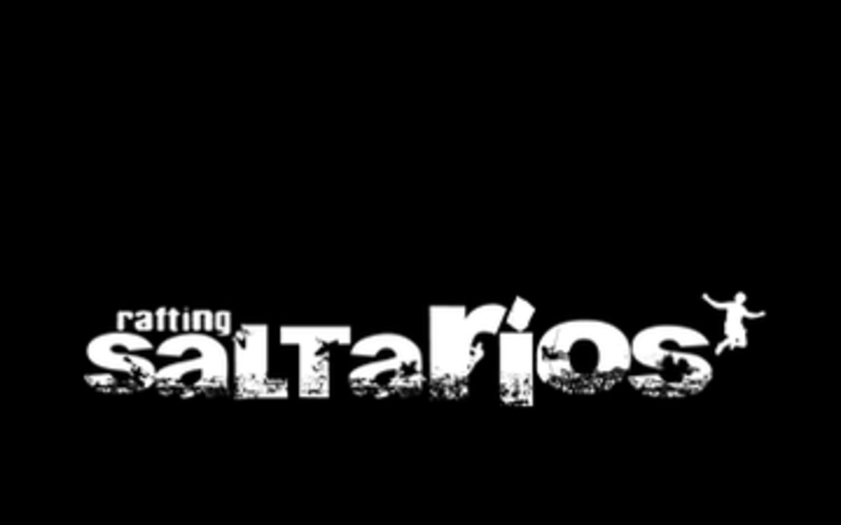 SALTARÍOS S.L.