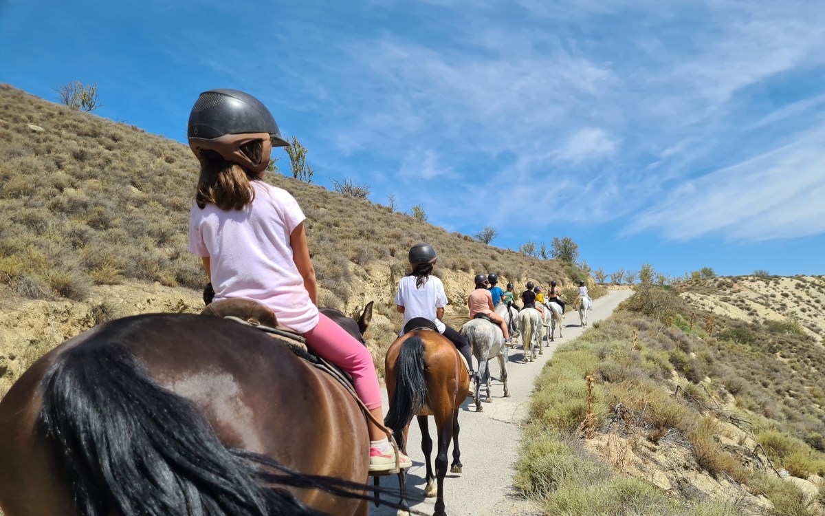 PASEO A CABALLO