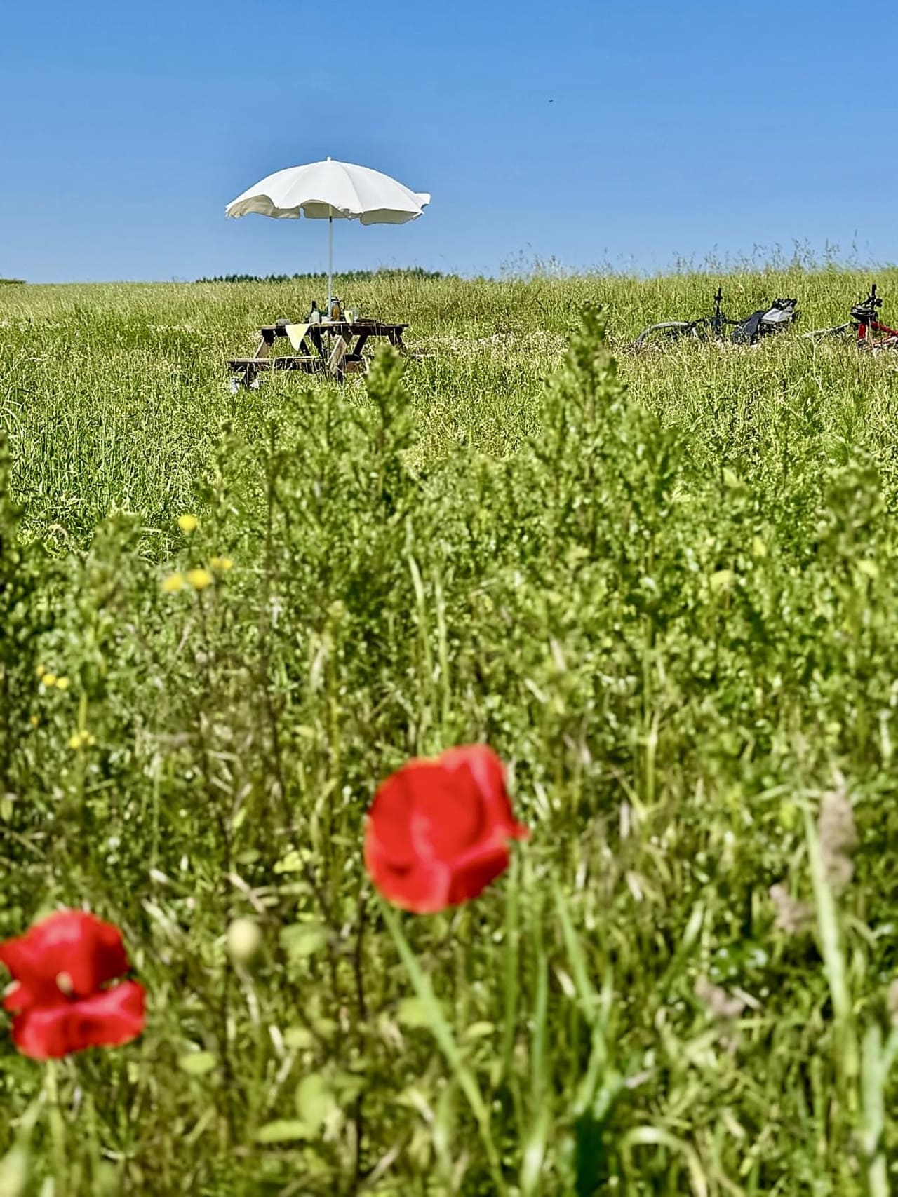Picknick in der Natur
