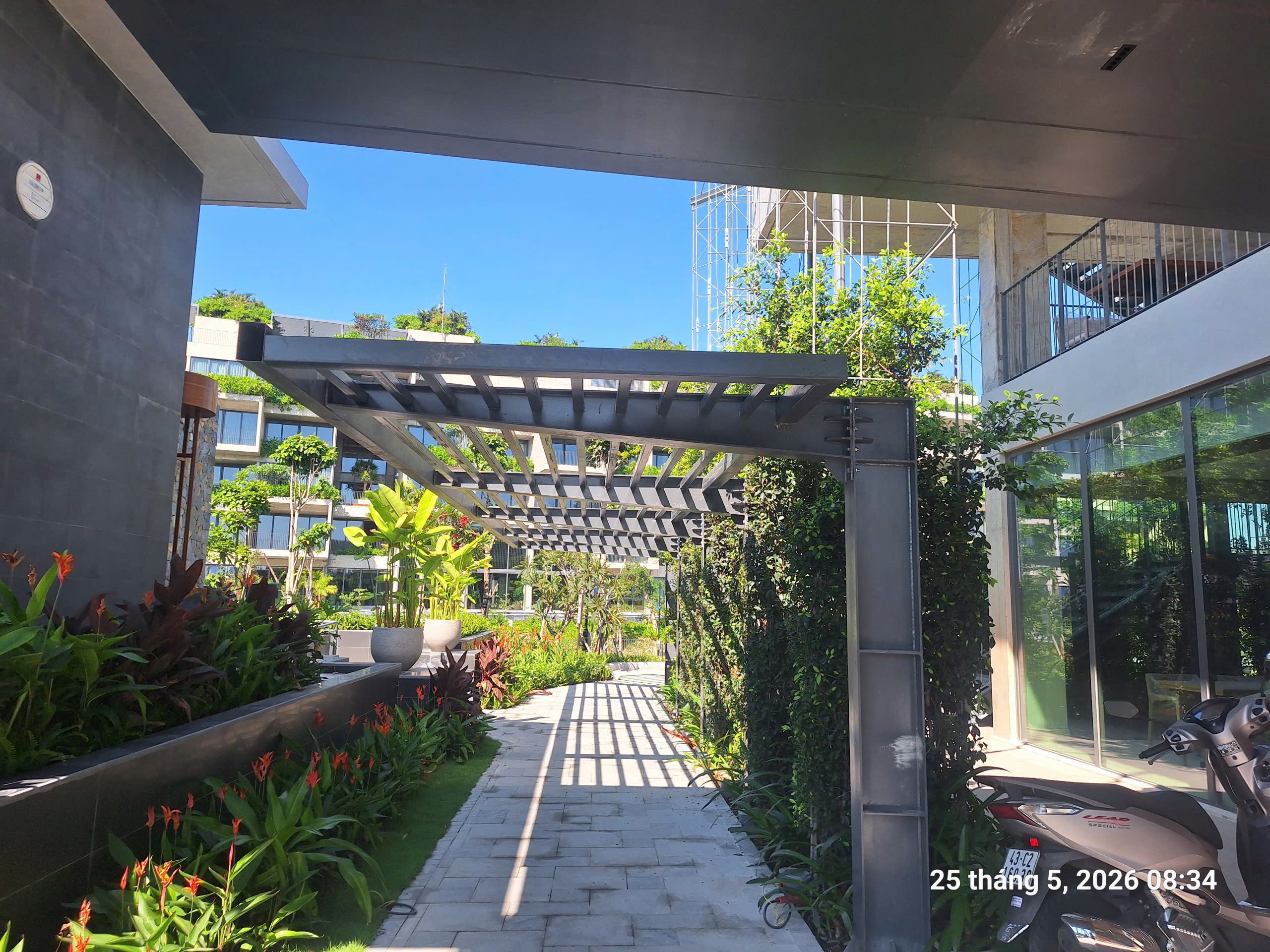 Hệ khung thép pergola hoàn thiện dọc lối đi resort Hội An