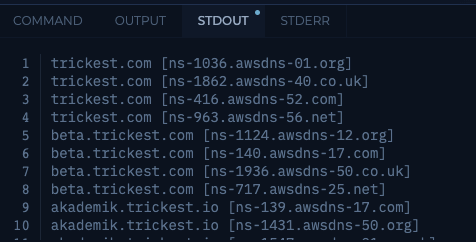 Screenshot of the list of hosts and their associated NS records