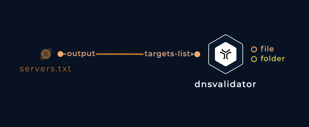 screenshot of dnsvalidator node connected with file type input node in the workflow editor