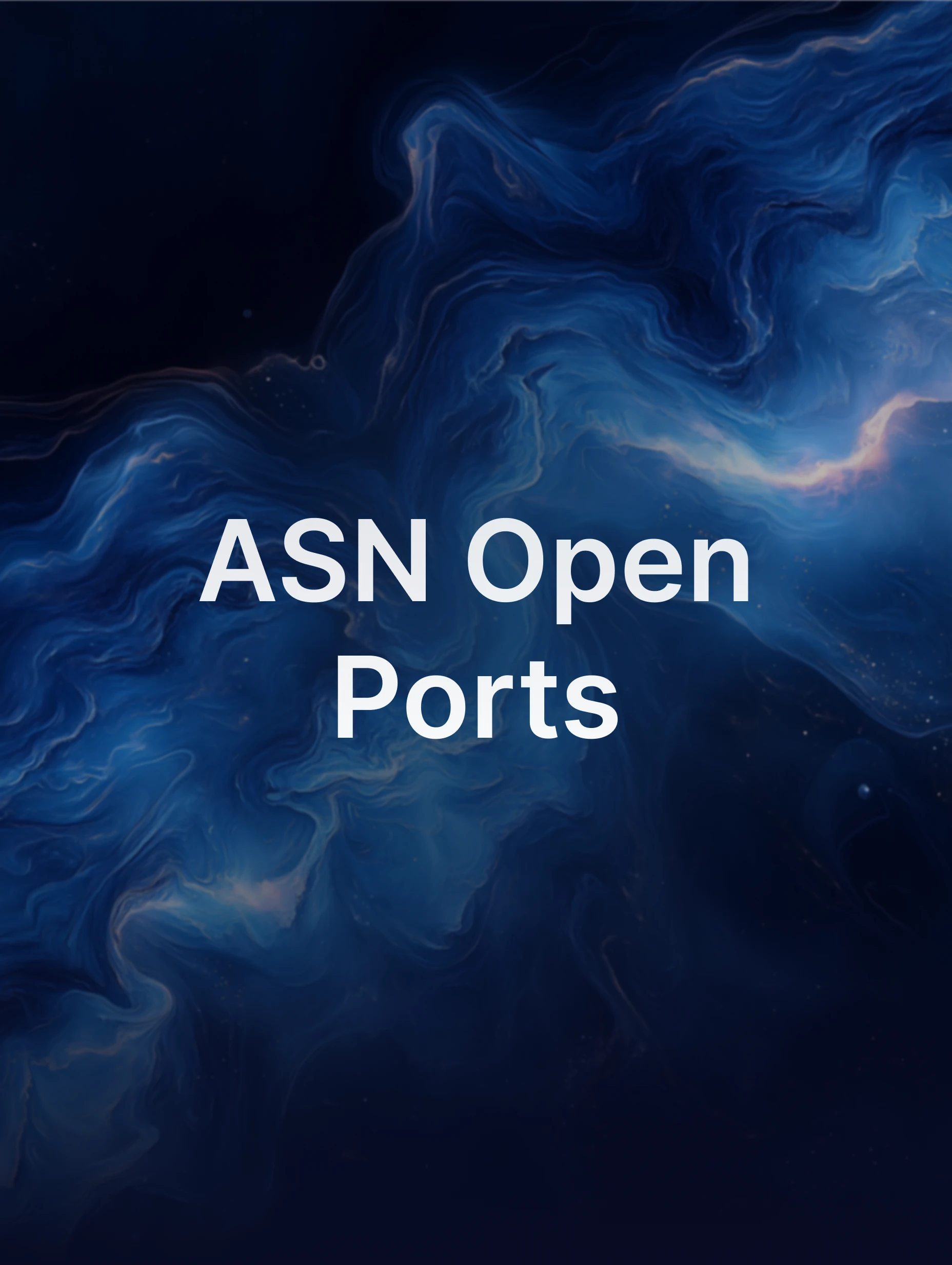 A schema showing two blocks - ASN and IP & Open Ports