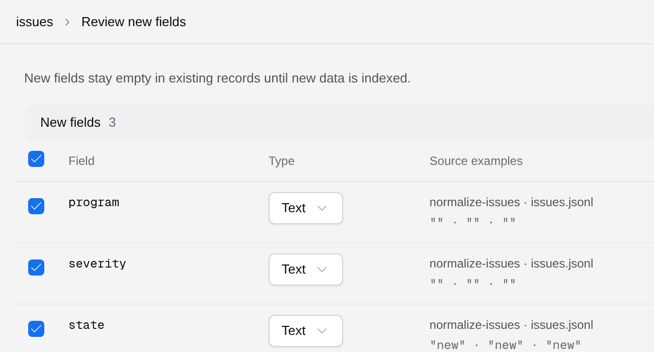 Review new fields header and the table schema review controls.