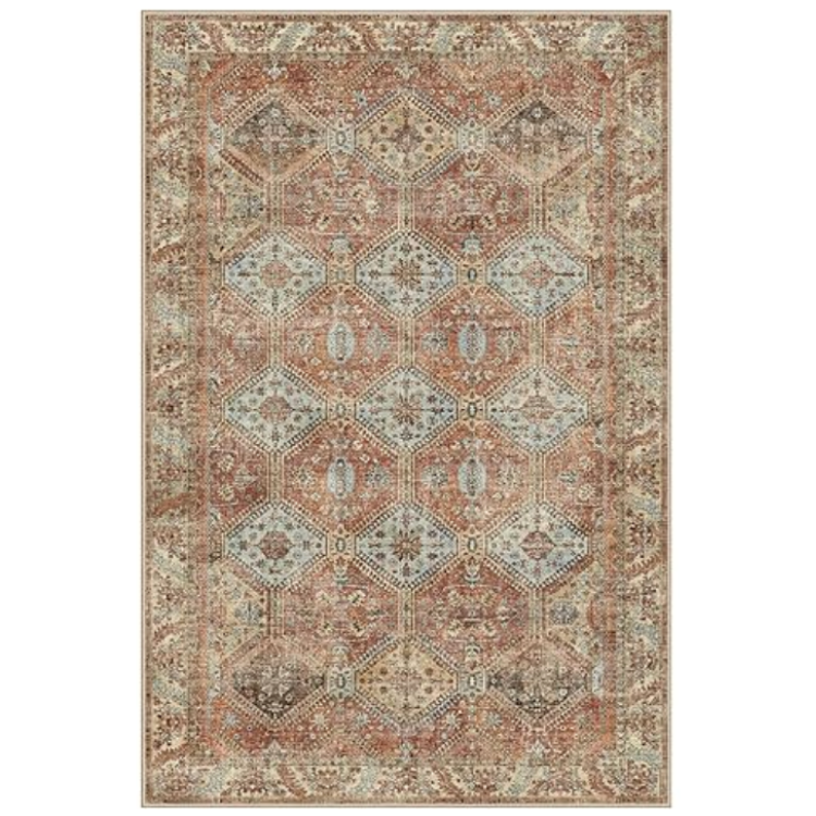 Distressed Vintage Area Rug