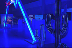 Glowing Cactus - 4ft view 2