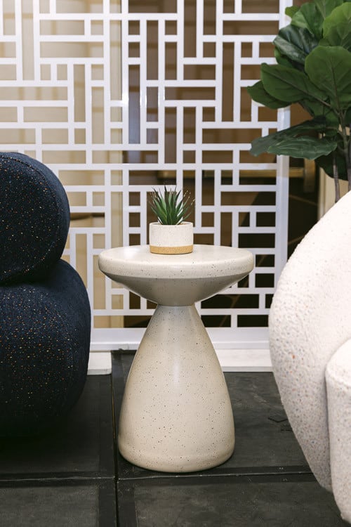 Plant - Mini Agave - Ceramic Pot view 4