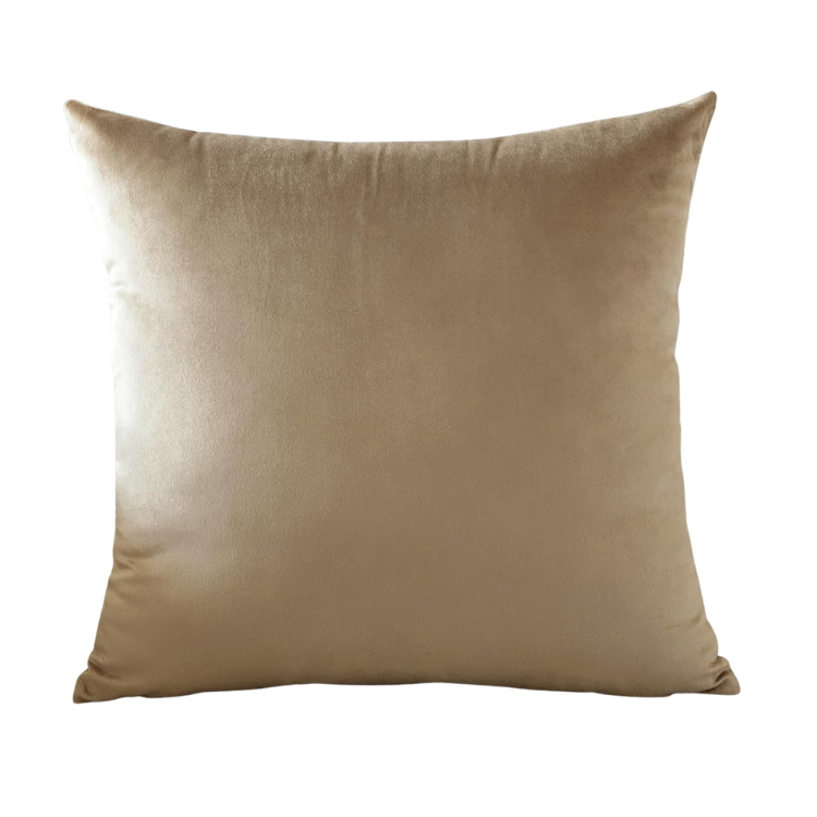 Golden Brown Velvet Pillow