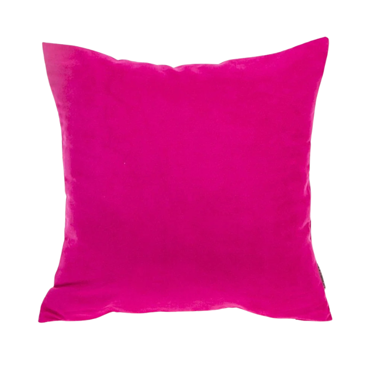 Hot Pink Velvet Pillow