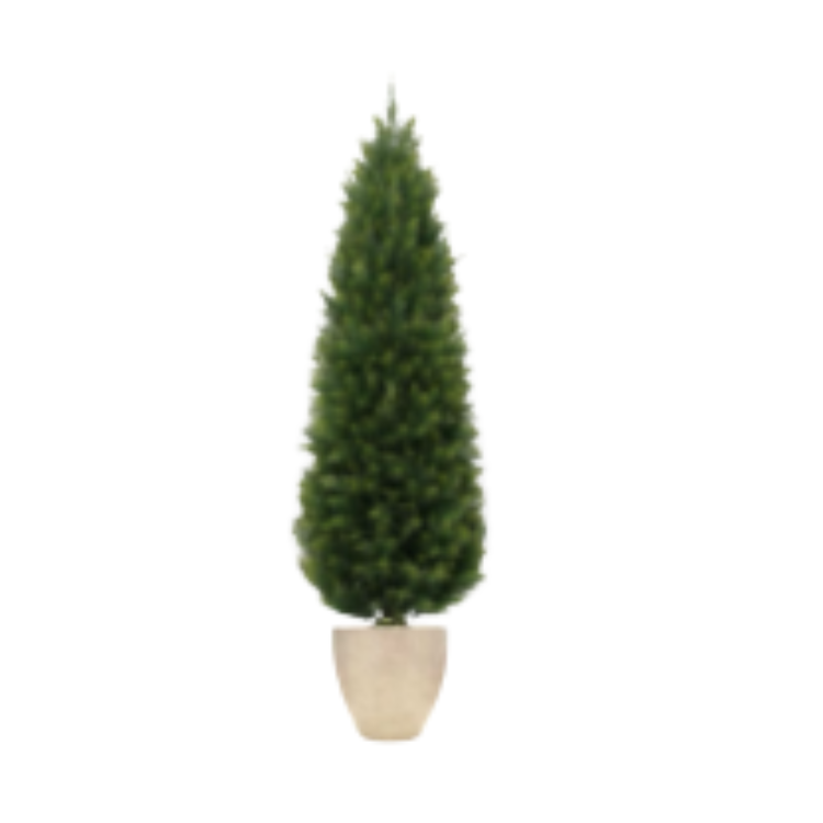 Plant - Faux Cedar Tree - 6ft