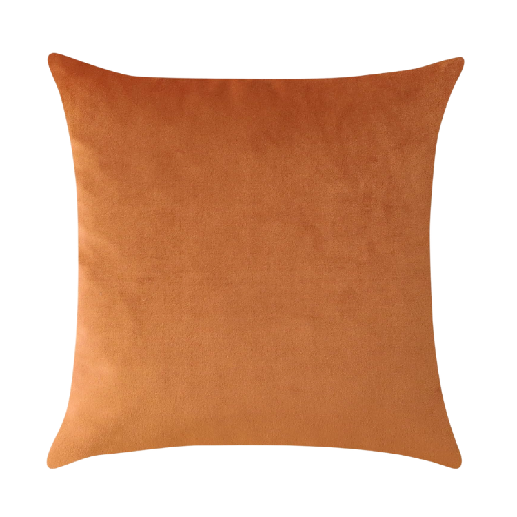 Rust Velvet Pillow