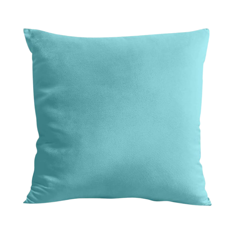 Turquoise Velvet Pillow