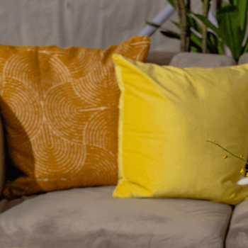 Throw Pillows