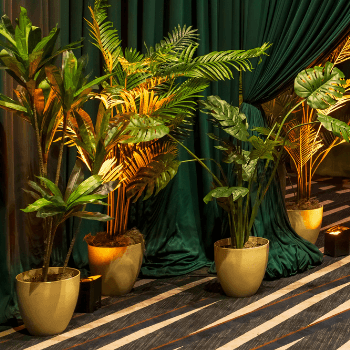 Plant Rentals