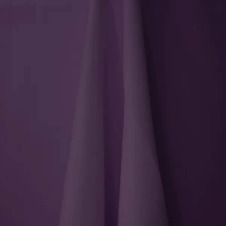Eggplant