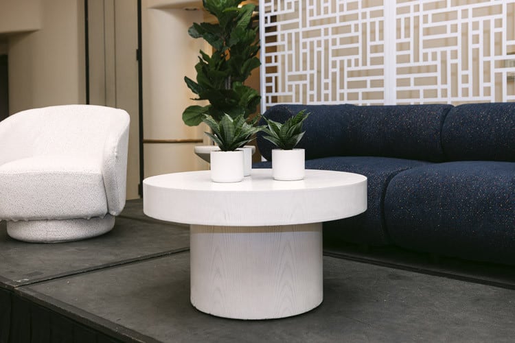 Elm Coffee Table view 14