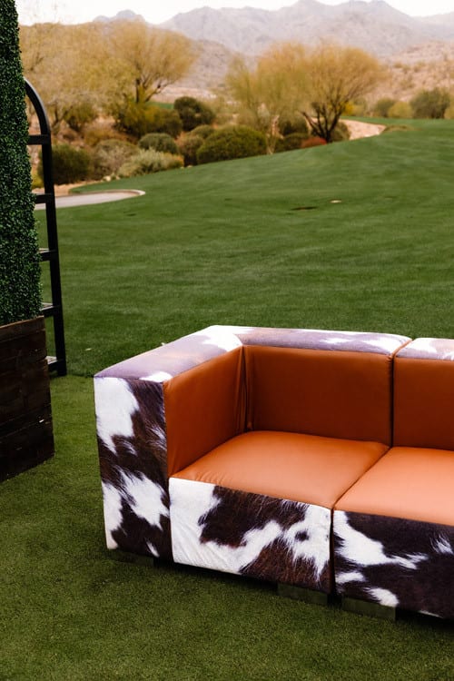 Mondrian Sofa - Cowhide view 3