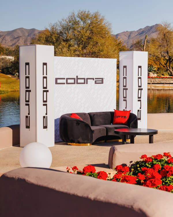 Professional Party Rentals in Gilbert, AZ