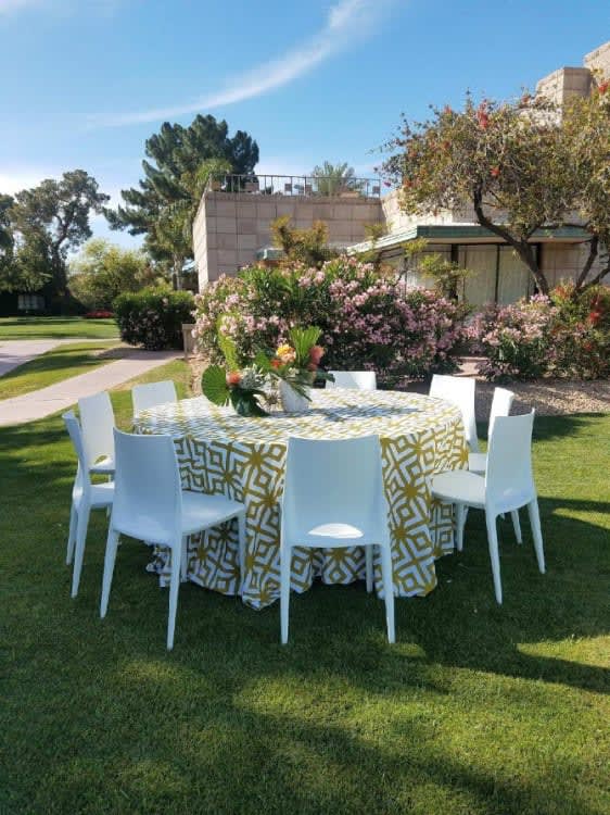 Crescent White Dining Chair view 4