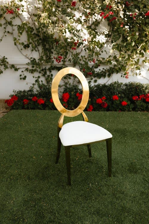 Halo Dining Chair with Ivory Pads view 5