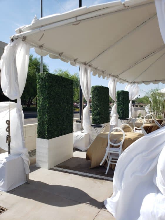 Hedge Wall - 8ft / White Base view 3