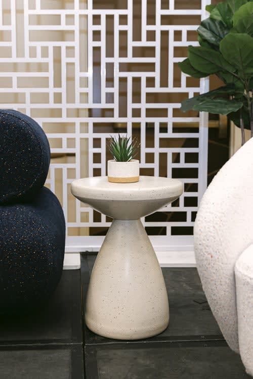 Plant - Mini Agave - Ceramic Pot view 4