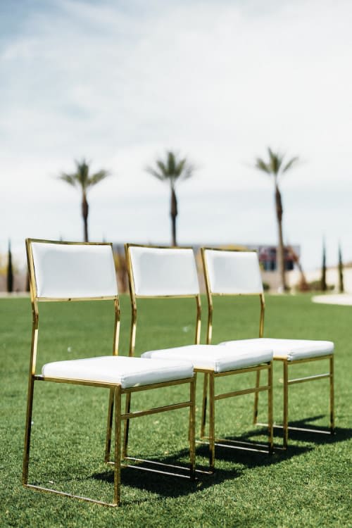 Jasper Dining Chair Gold Frame/White Pads view 5