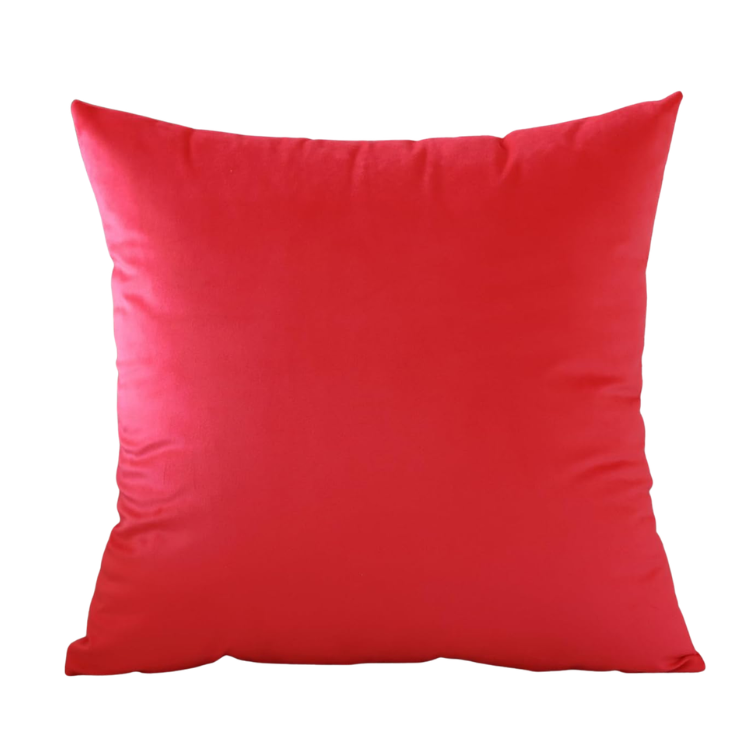 Red Velvet Pillow
