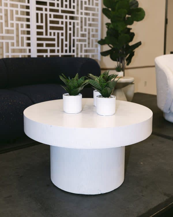 Elm Coffee Table view 12