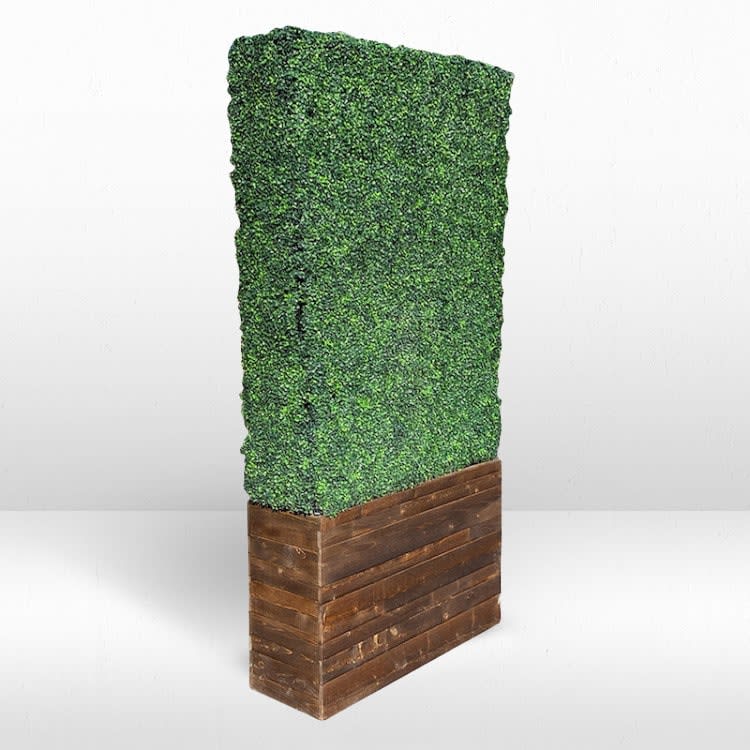 Hedge Wall - 8ft / Brown Stain Base