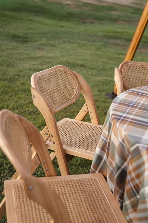 Iris Dining Chair view 3