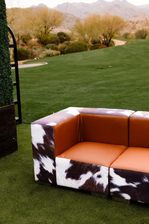 Mondrian Sofa - Cowhide view 3