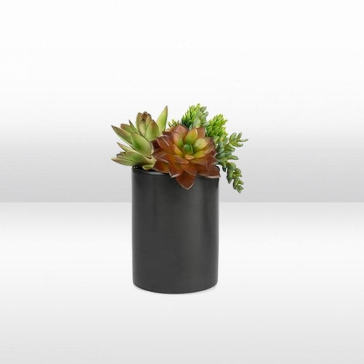Plant - Succulent Arrangement - Medium view 2