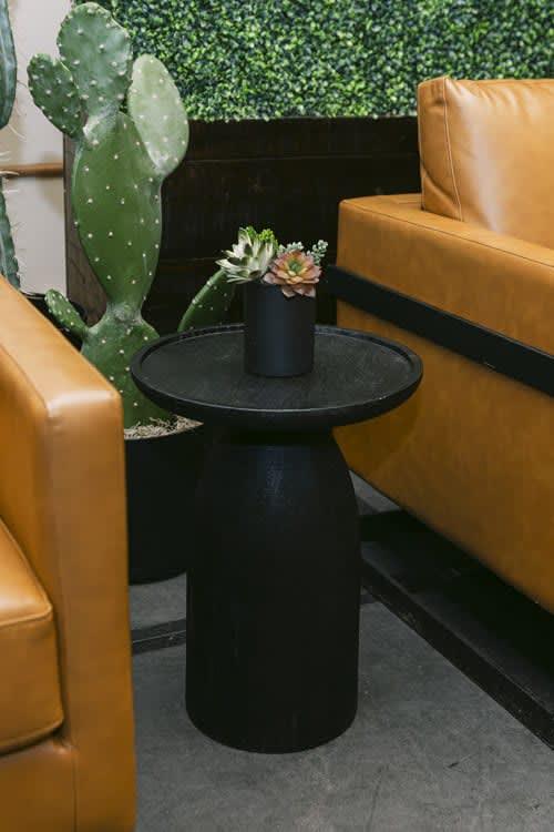 Plant - Succulent Arrangement - Medium view 3