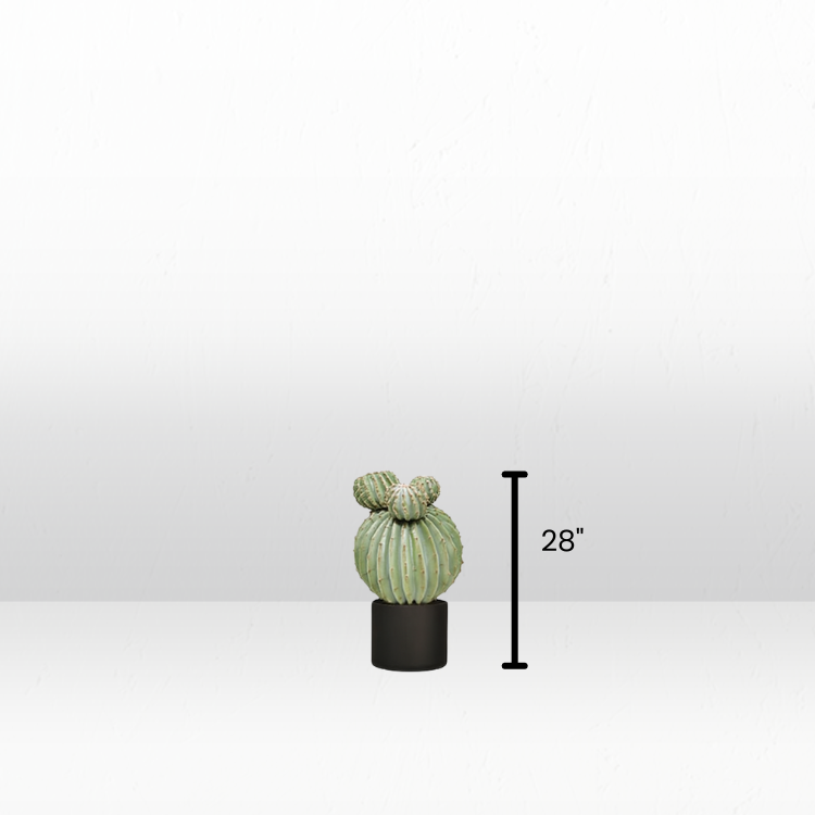Plant - Texas Barrel view 6