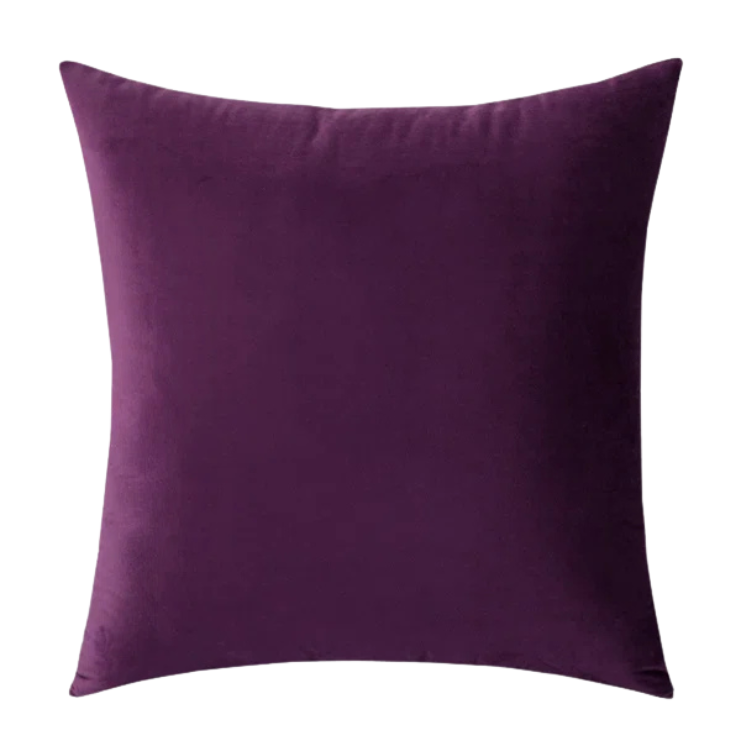 Purple Velvet Pillow