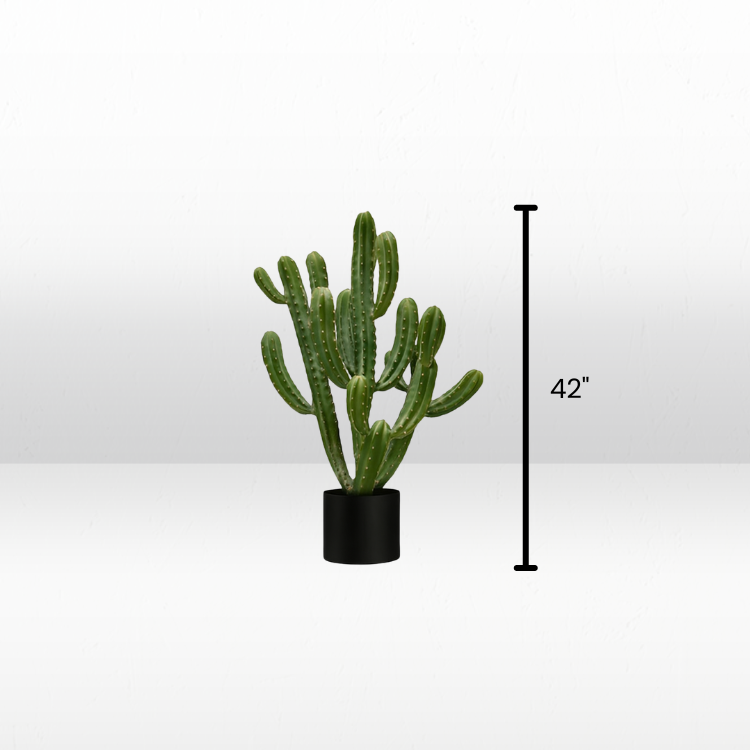 Plant - Cowboy view 3