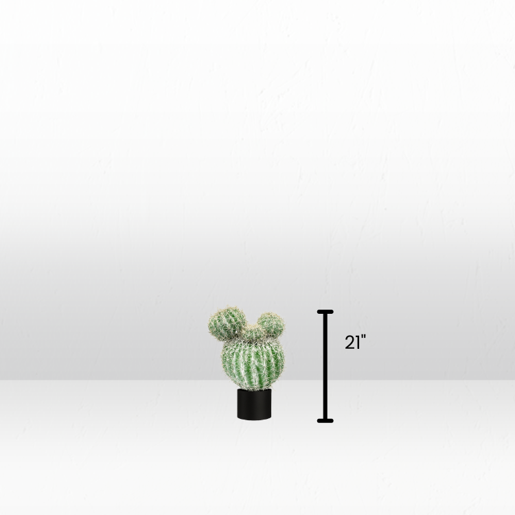 Plant - Silver Ball view 5