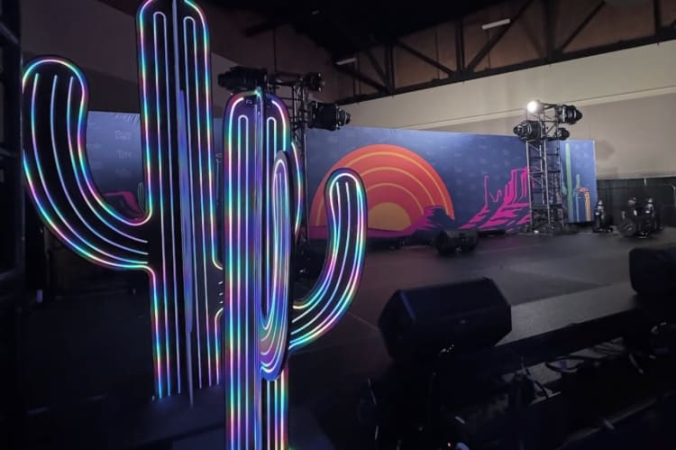 Glowing Cactus - 8ft view 3