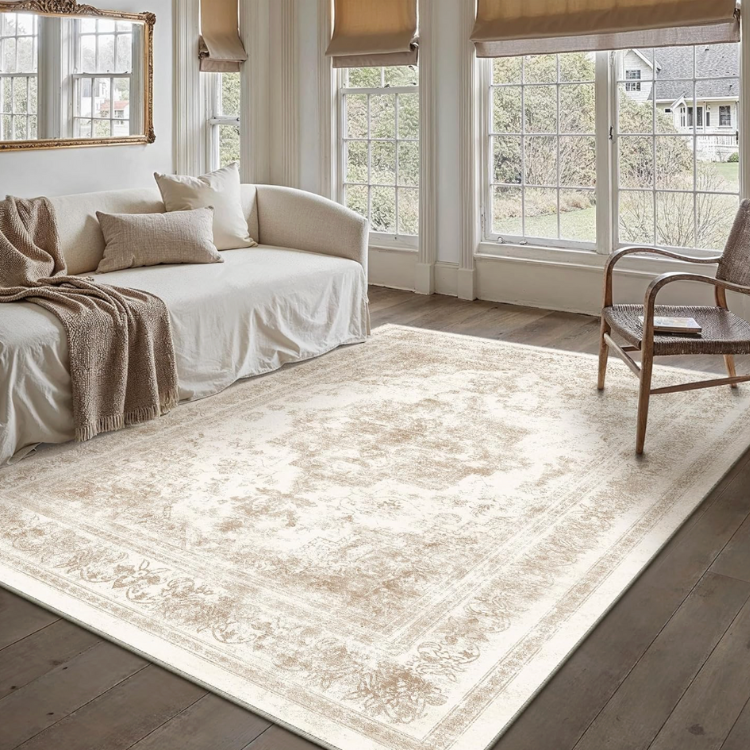 Southwest Cream Area Rug view 2